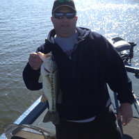 Bill White
