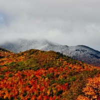 Jeff Davis