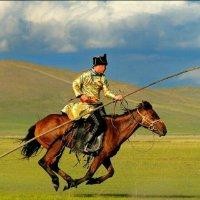 高振宇