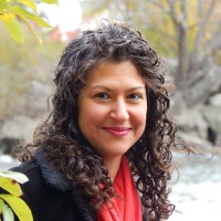 Negin Amin-Nia, Pmp®