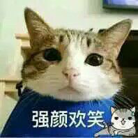 王瑞丰