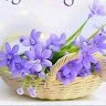 Happy World