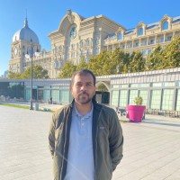 Ameer Ali