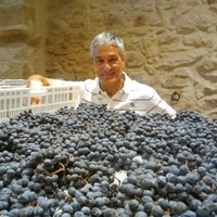 Stefano Girelli