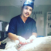 Ferhat Can İnce