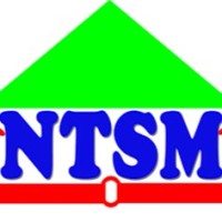 Ntsm Professional Services Human Technical Ressources
