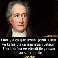 Yaşar Sari