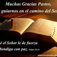 Alven Rojas Velazquez