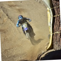 Andy Anaya