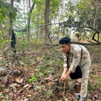 Agustinus Samosir