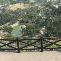 何振富
