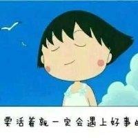 杨燕燕