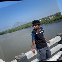 Vishwa V
