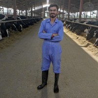 Adeel Sattar