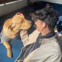 Sumit Jangir