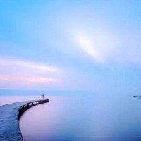 王月茹