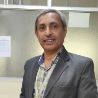 Vasuki B K