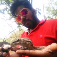 Asif Shaikh