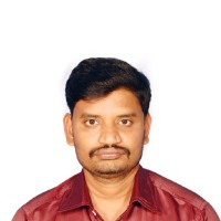 Dhilipan P