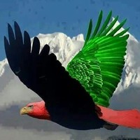 Afghan cargo & Logistics