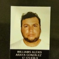 williams araya gonzalez