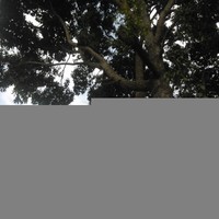 Iuniki Dkhar