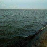 周登海