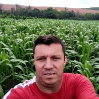 Odinei A. Cavenaghi Junior