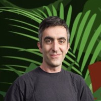 Duccio Stefanelli