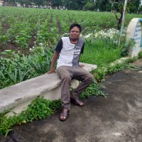 Navjot Koreri