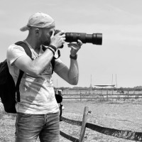 Tim Koenen