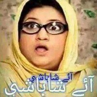 Tariq Hussain