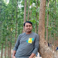 Md Saddam Ansari