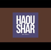 Ahmed Haoushar