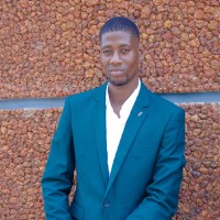 Timileyin Faleye-Lms Website Designer/Virtual Assistant