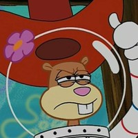 sandy cheeks