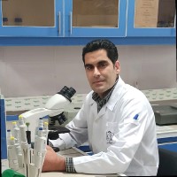Hossein Saghi
