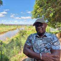 Hamisi Abdi