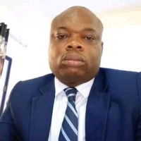 Vital Zasi Kinako