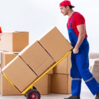 Movers In Mirdif