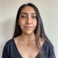 Karen Medina Carrera