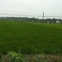 马湘军