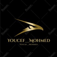 Youcef Mohmed