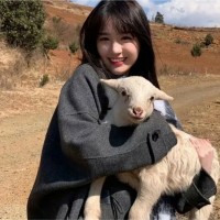 Lilley Li