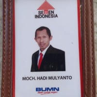 M Hadi Mulyanto