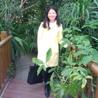 杨晨旭