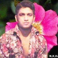M N HASAN JOY
