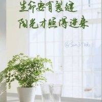 张树友