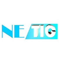 Netic Creation De Site Internet