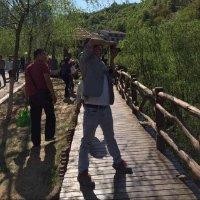 张建盼
